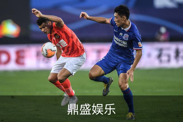 鼎盛娱乐公司简介